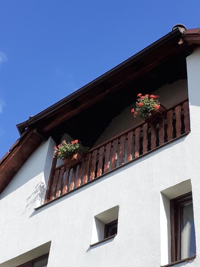 Studio mit Bergblick