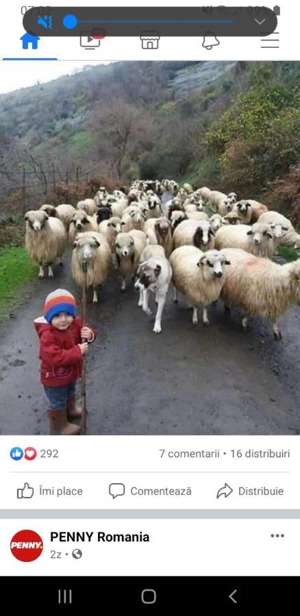 Cameră dublă cu baie privată