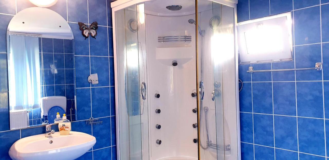 Vilă cu vedere spre grădină