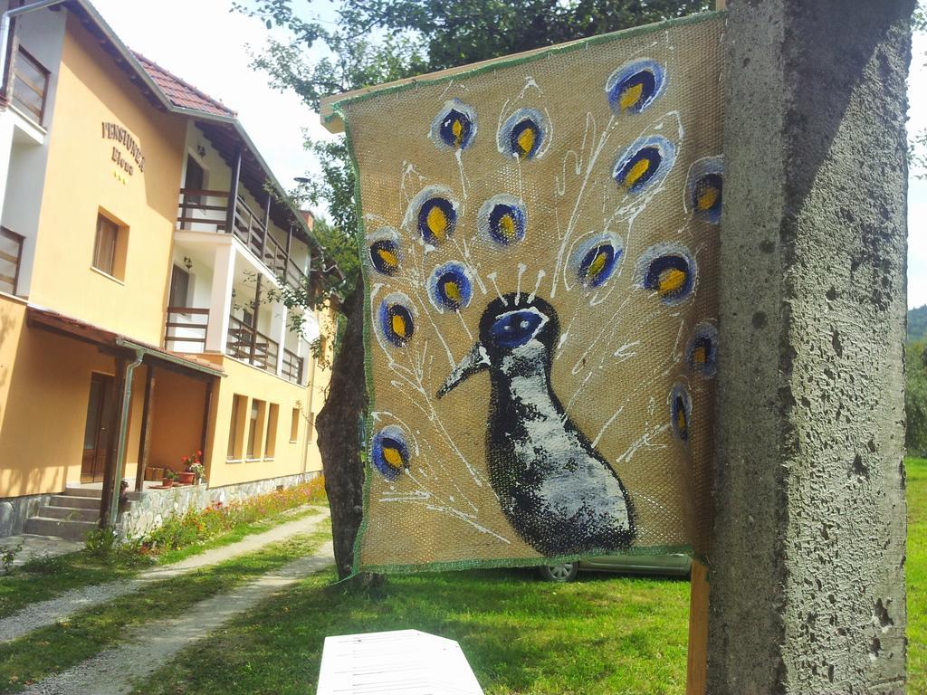 Suită