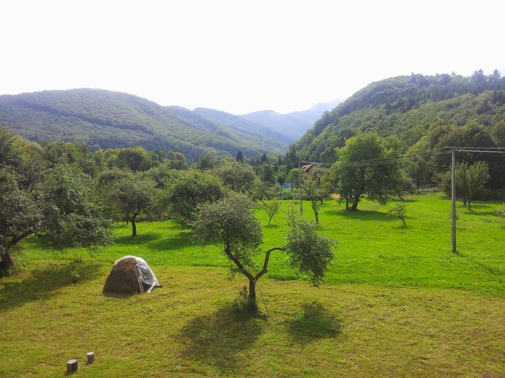 Cameră dublă