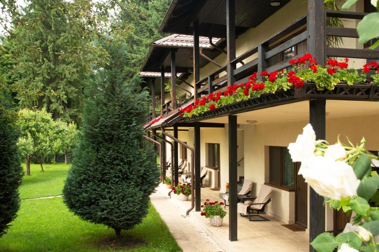 Studio cu vedere la grădină