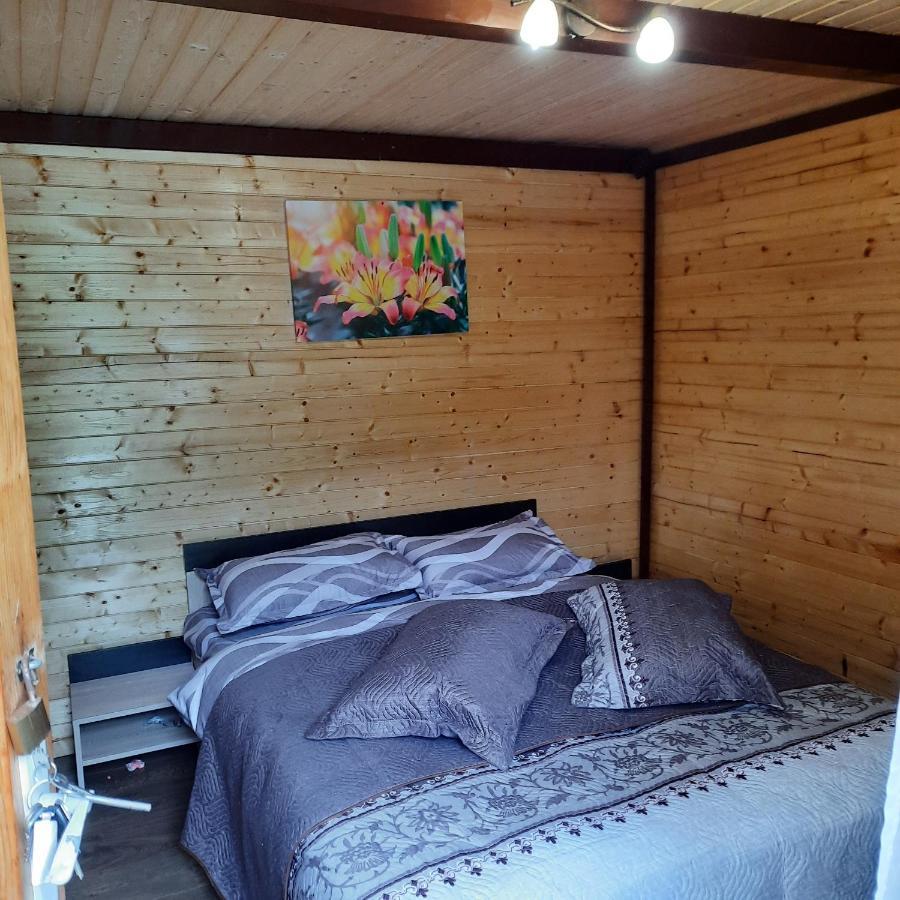 Cameră Deluxe (2 adulți + 1 copil)