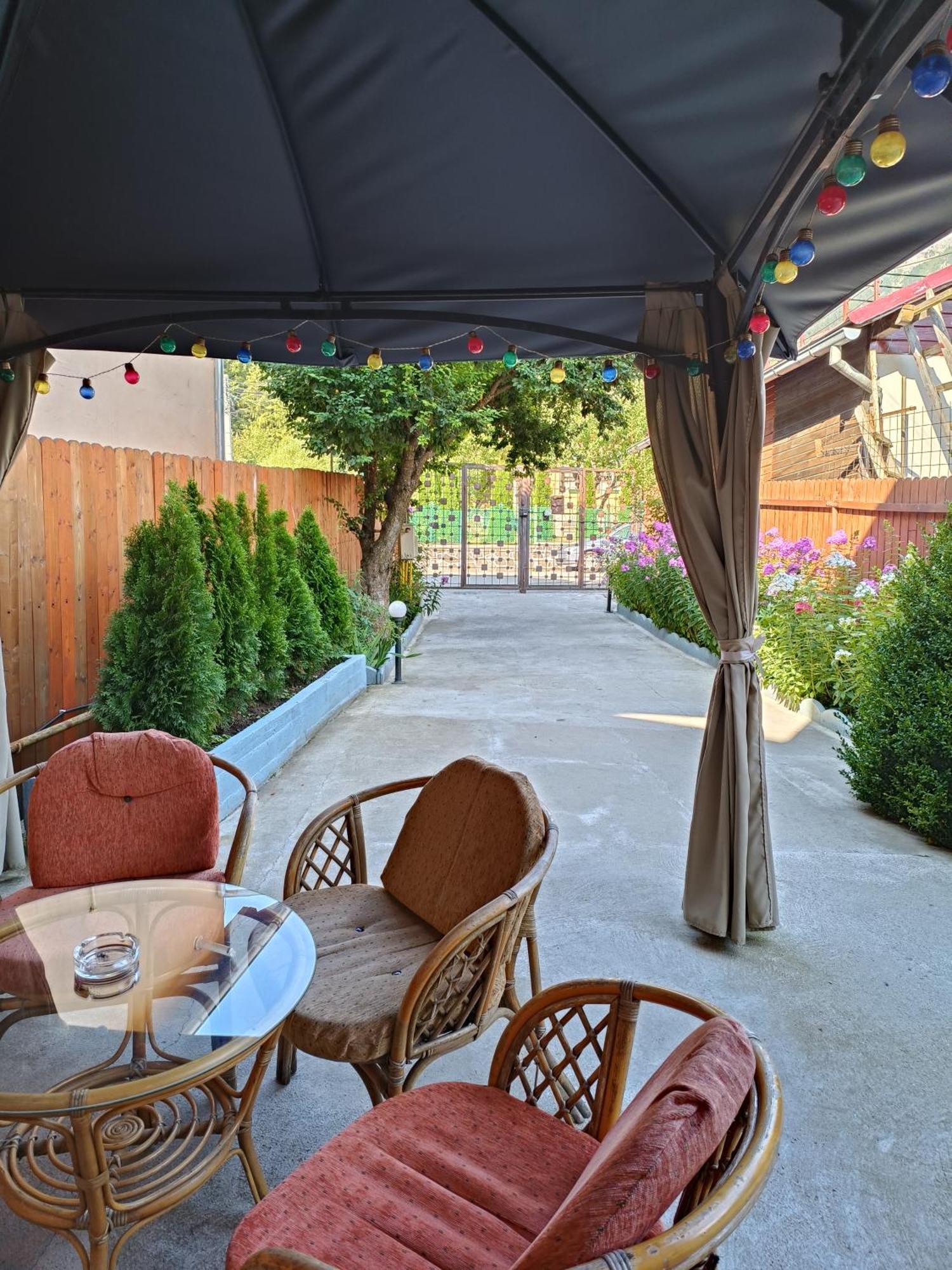 Apartament cu vedere la munte