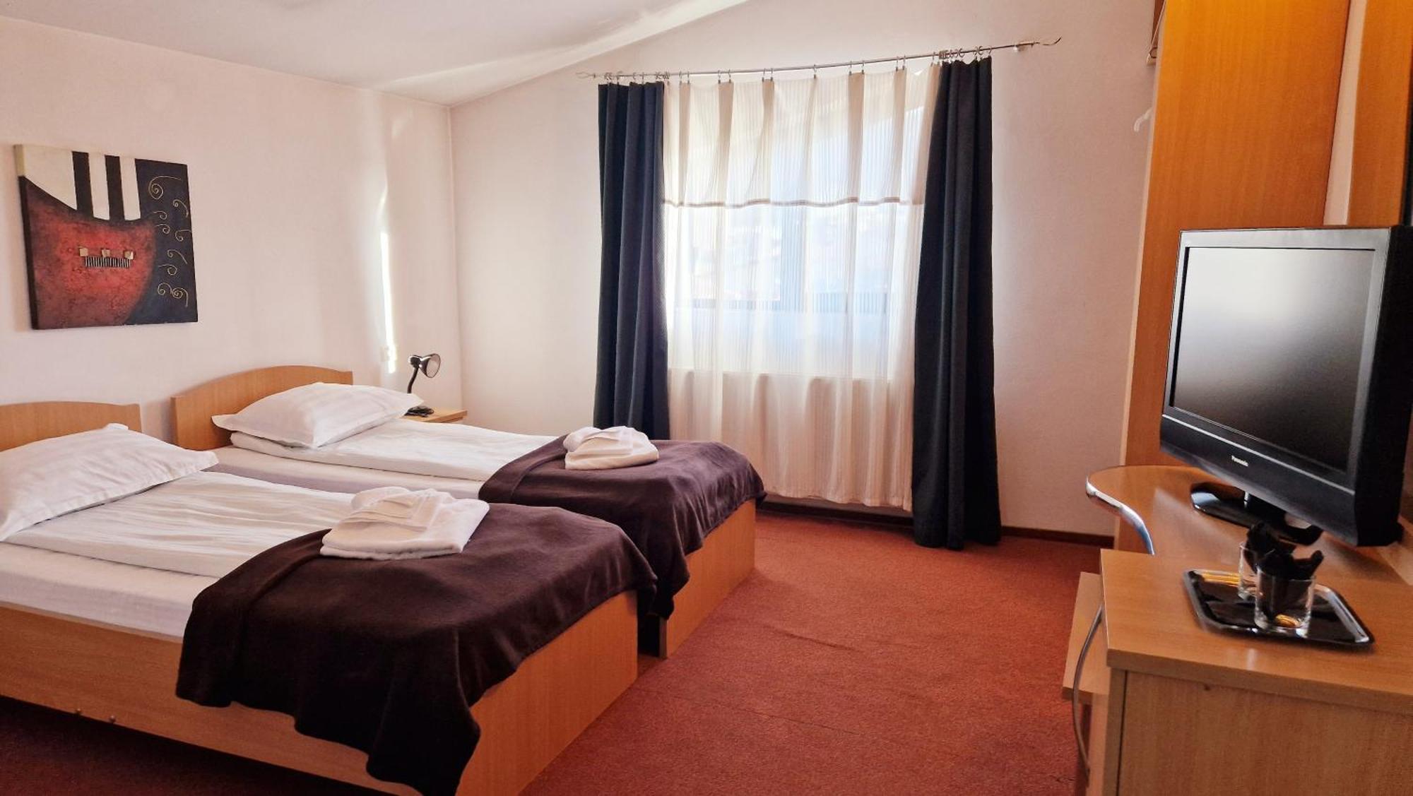 Double Room Mountain View