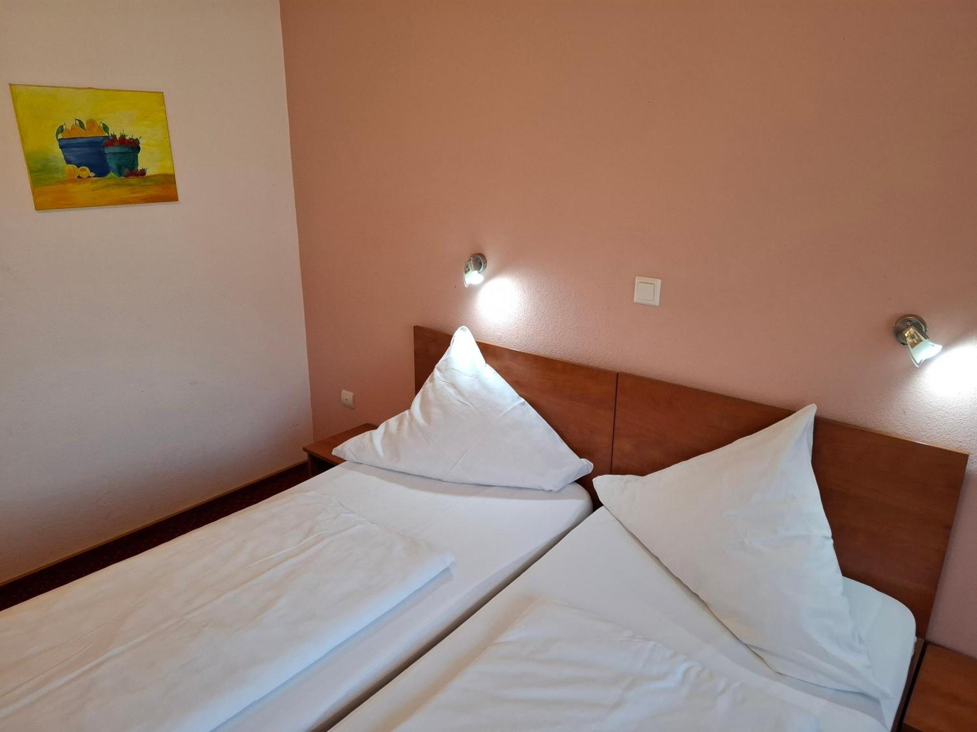 Cameră twin standard, cu vedere la munte