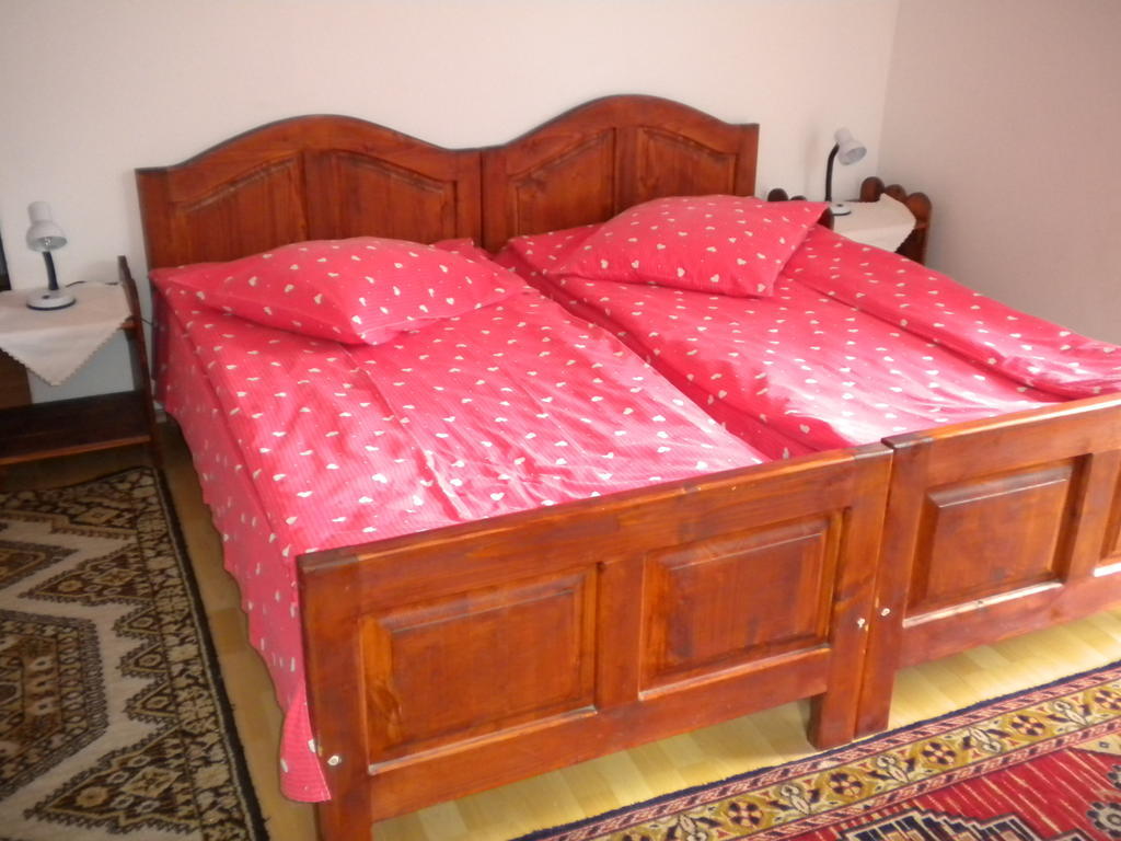 Vilă cu 5 dormitoare