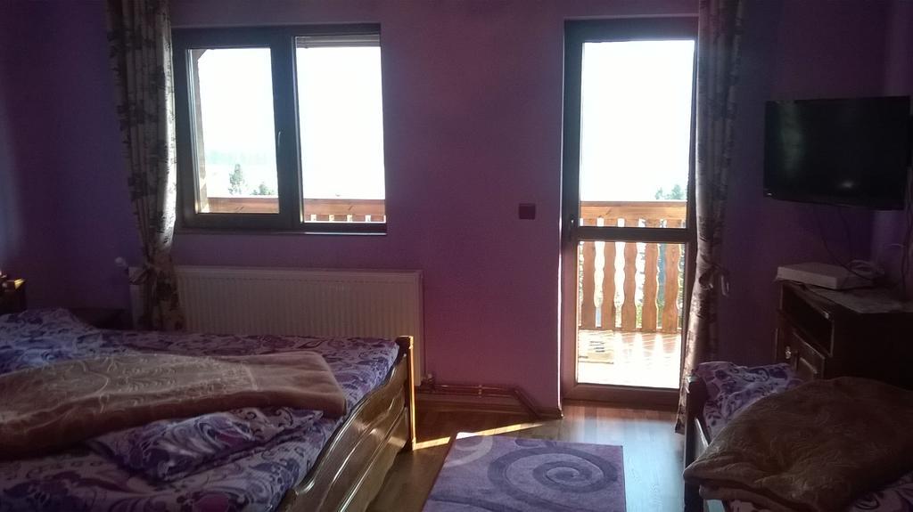 Suită