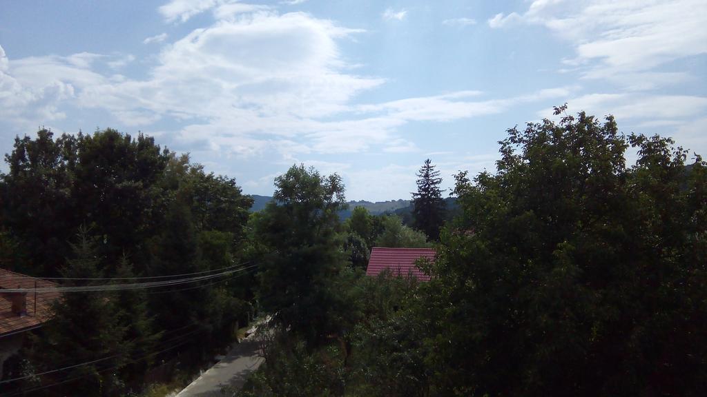 Apartament cu 1 dormitor