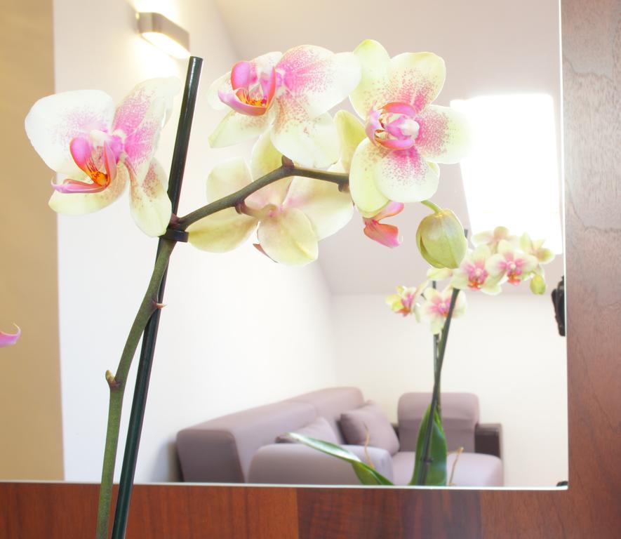 Triple Room,363821692:JPEG