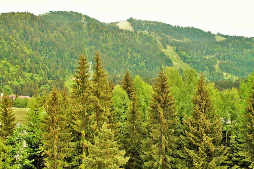 Junior Suite with Mountain View
