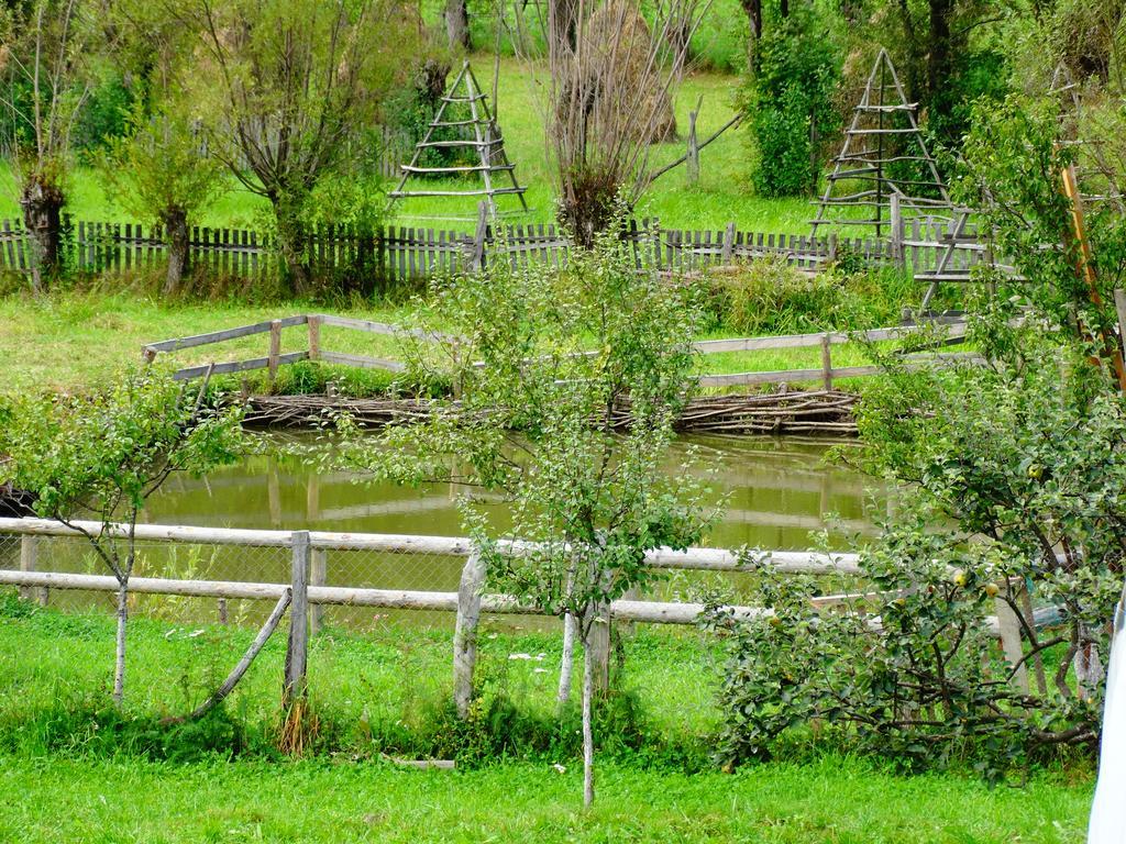 Cameră triplă, cu vedere la lac
