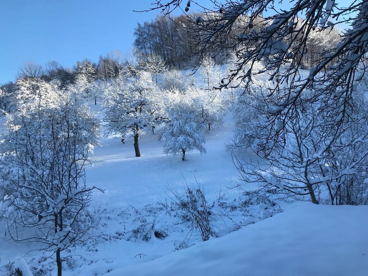 Double Room,520645263:JPEG