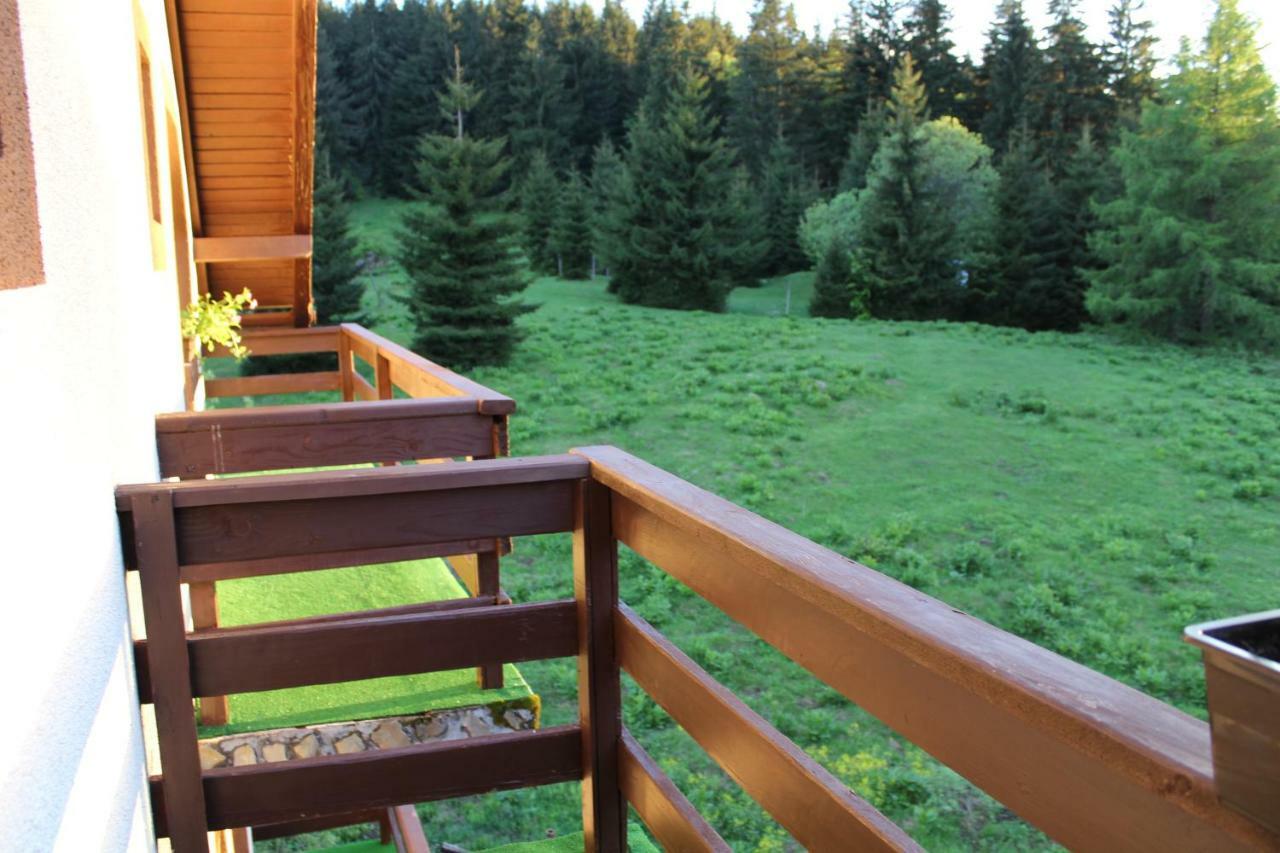 Cameră dublă cu vedere la munte
