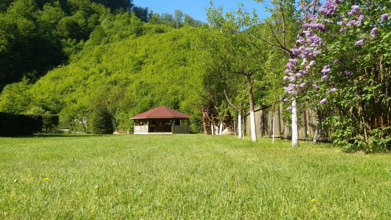 Vilă