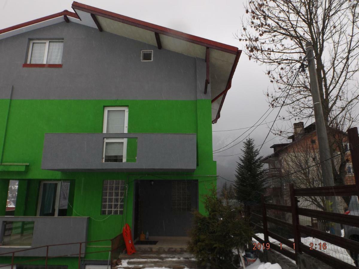 Vilă