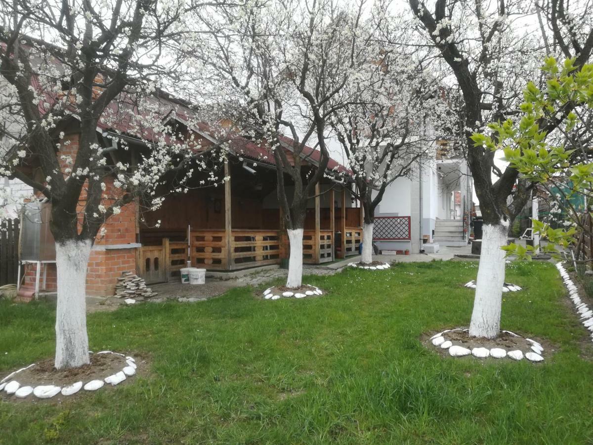 Cameră dublă