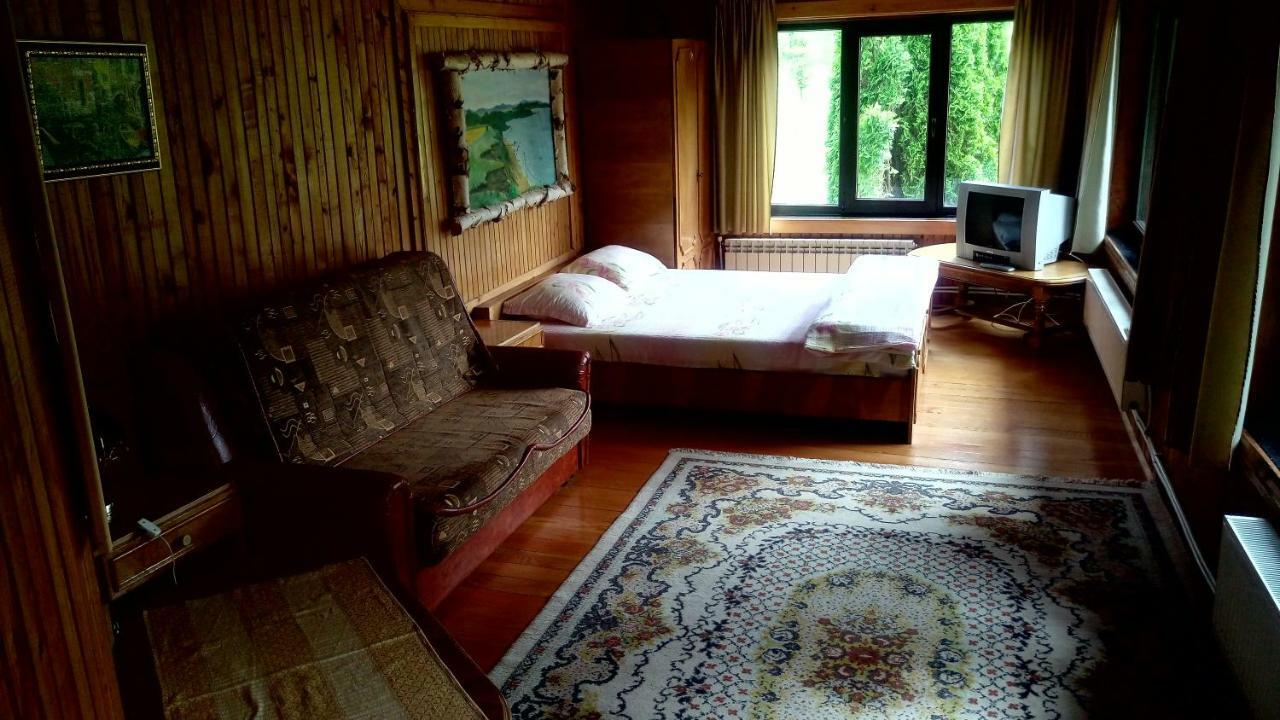 Cameră de familie cu vedere la munte