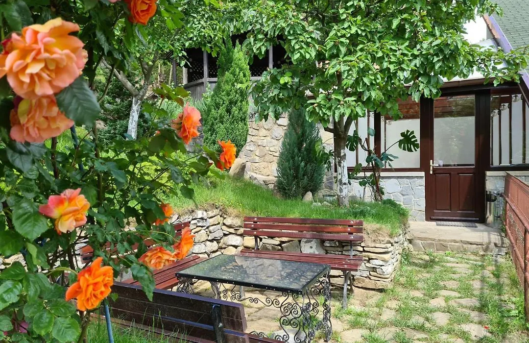 Pension Marina-1