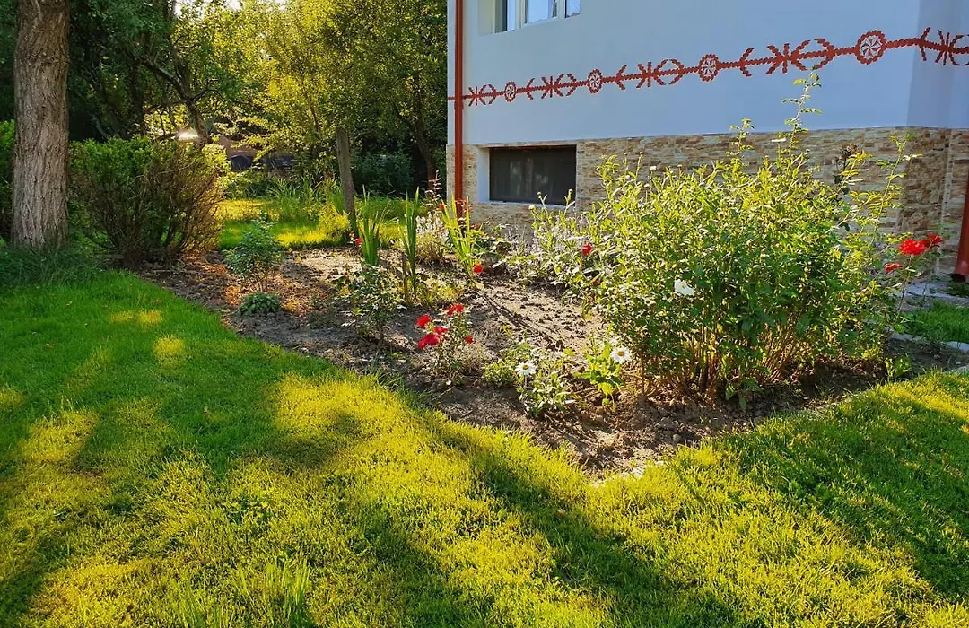Pension Agnes-1