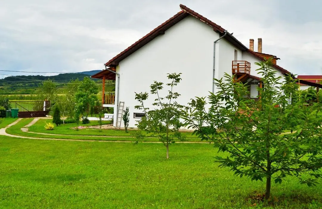 Vila Ţara Haţegului-1