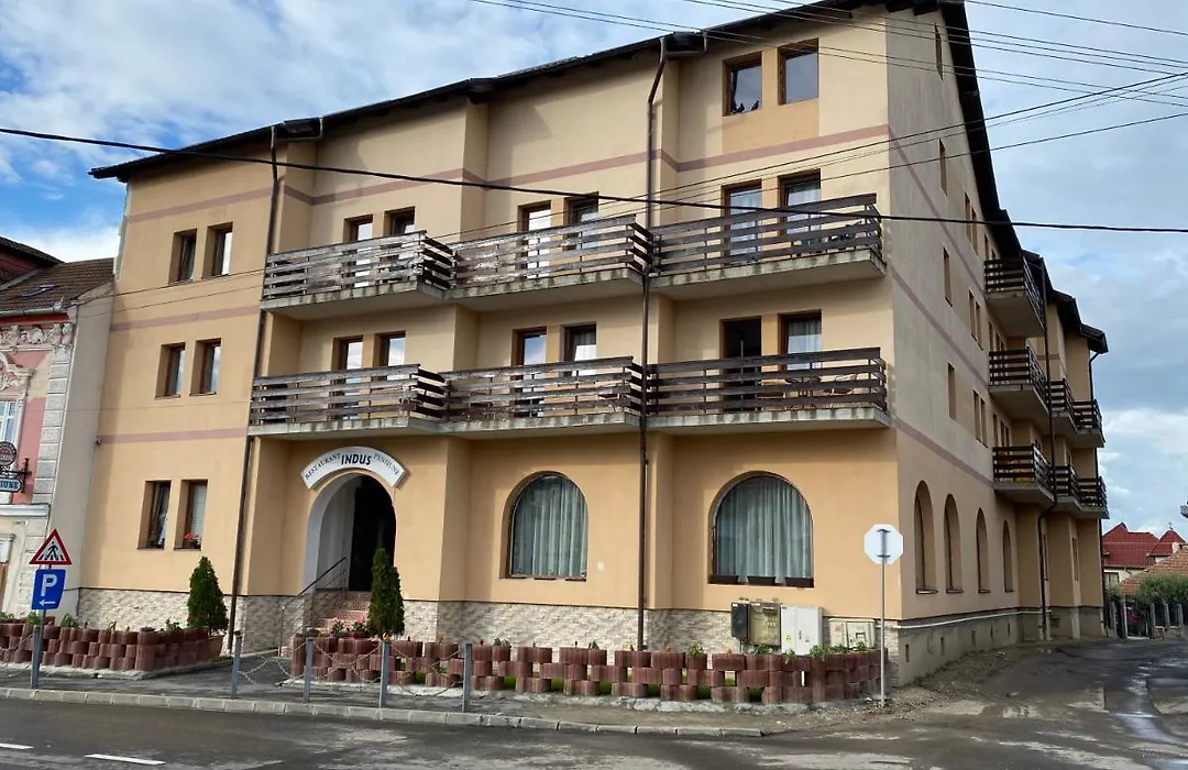 Pensiune Restaurant Indus-1