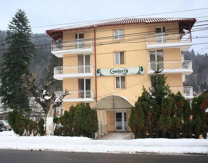 Pensiunea Confort-1