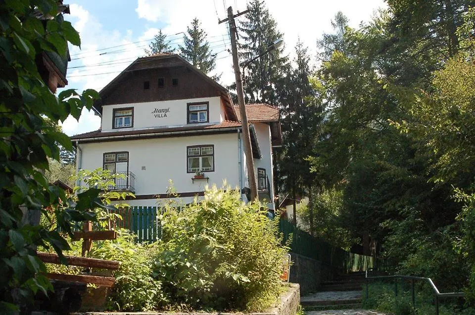 Manyi Villa-1