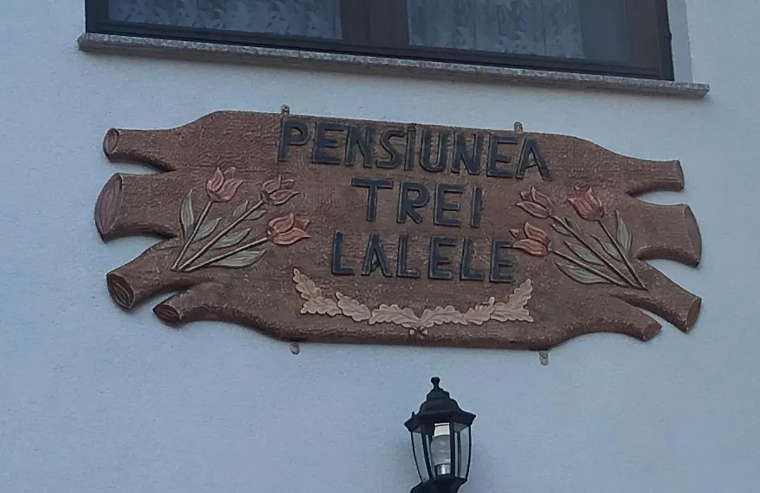 Pensiunea Trei Lalele-1