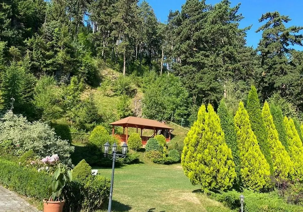 BellaVista Brasov-1