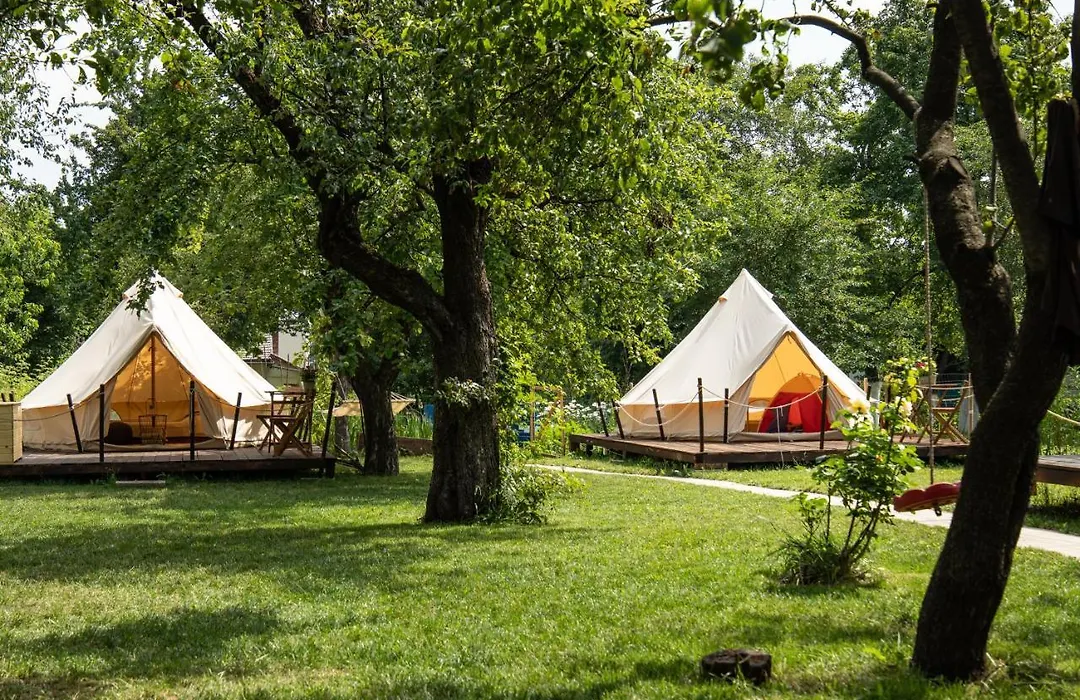 Dragonfly Gardens Urban Glamping Brasov-1