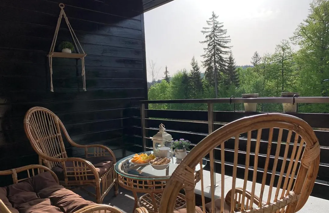 Tiam Apartment Poiana Brasov D117, 3 Rooms, 3 Terraces, 3 Bathrooms-1