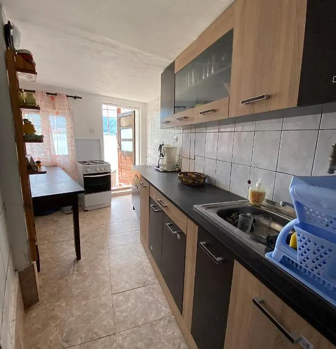 Casa Alexandreea-1