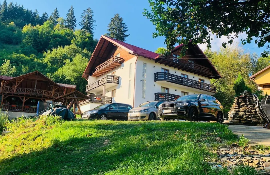 Pensiunea Pietrosul-1