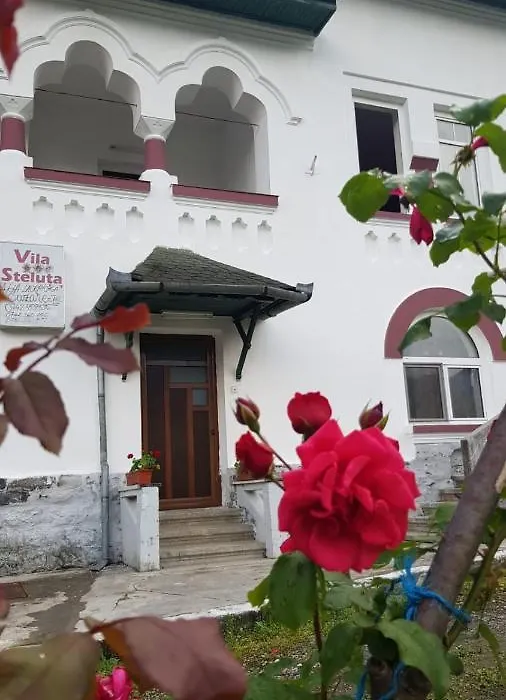 Vila Ana Lăcrămioara Concept-1