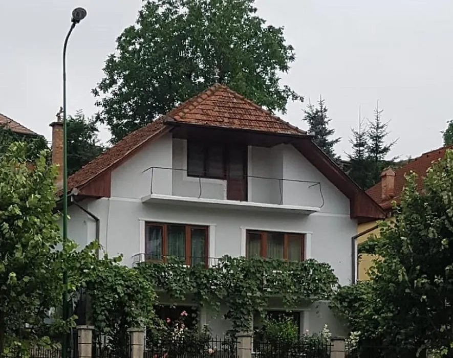 Madalina-1