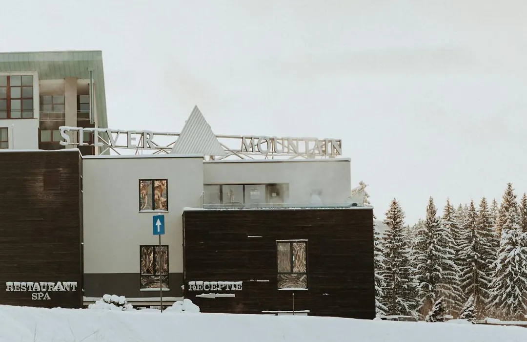 Silver Pine Apartment-1