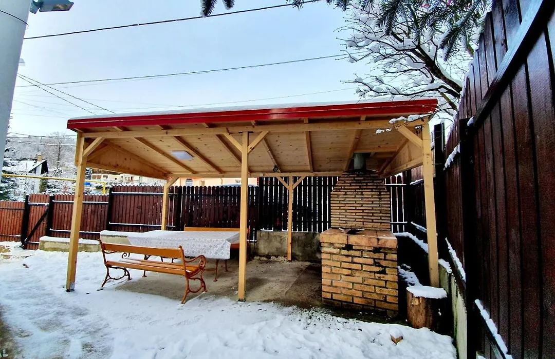 Vila Alma Azuga-1