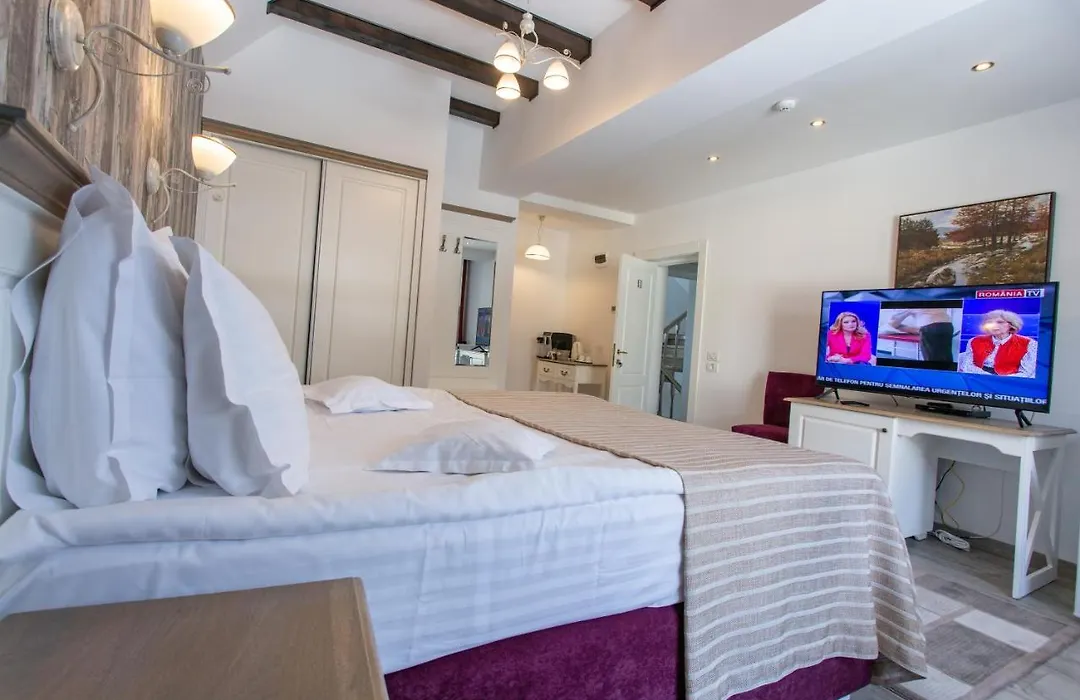 Pensiunea Carmen`s Mansion B-1