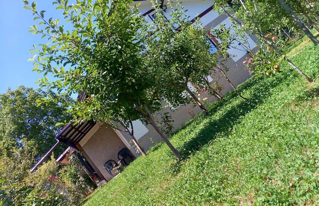 Casa Transfagarasan-1