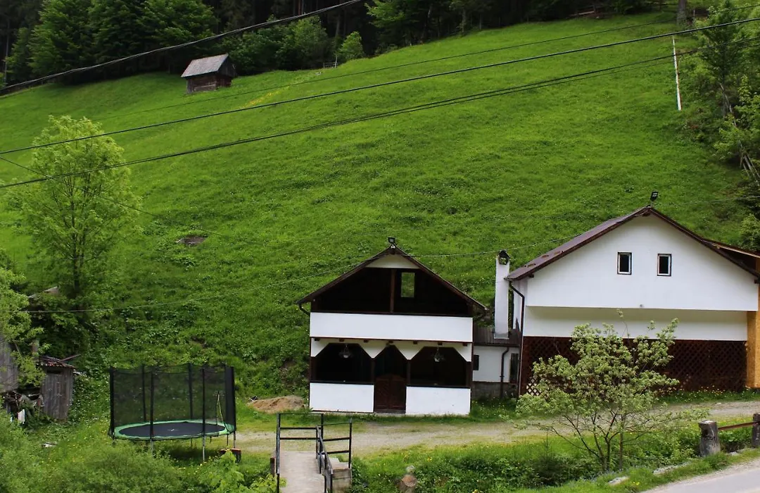 Căsuța de lângă pădure-1