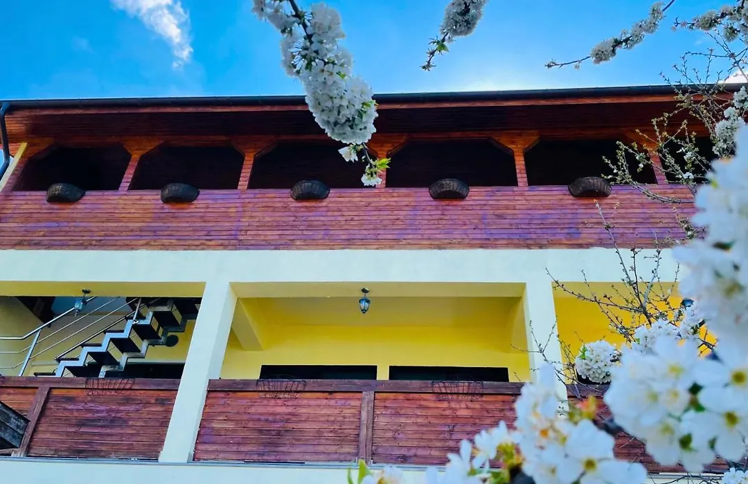 Casa Camelia-1