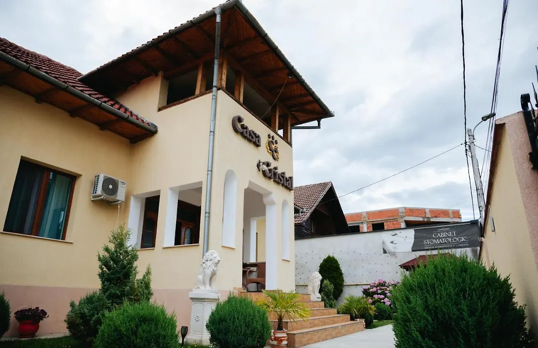 Pensiunea Casa Cristal-1