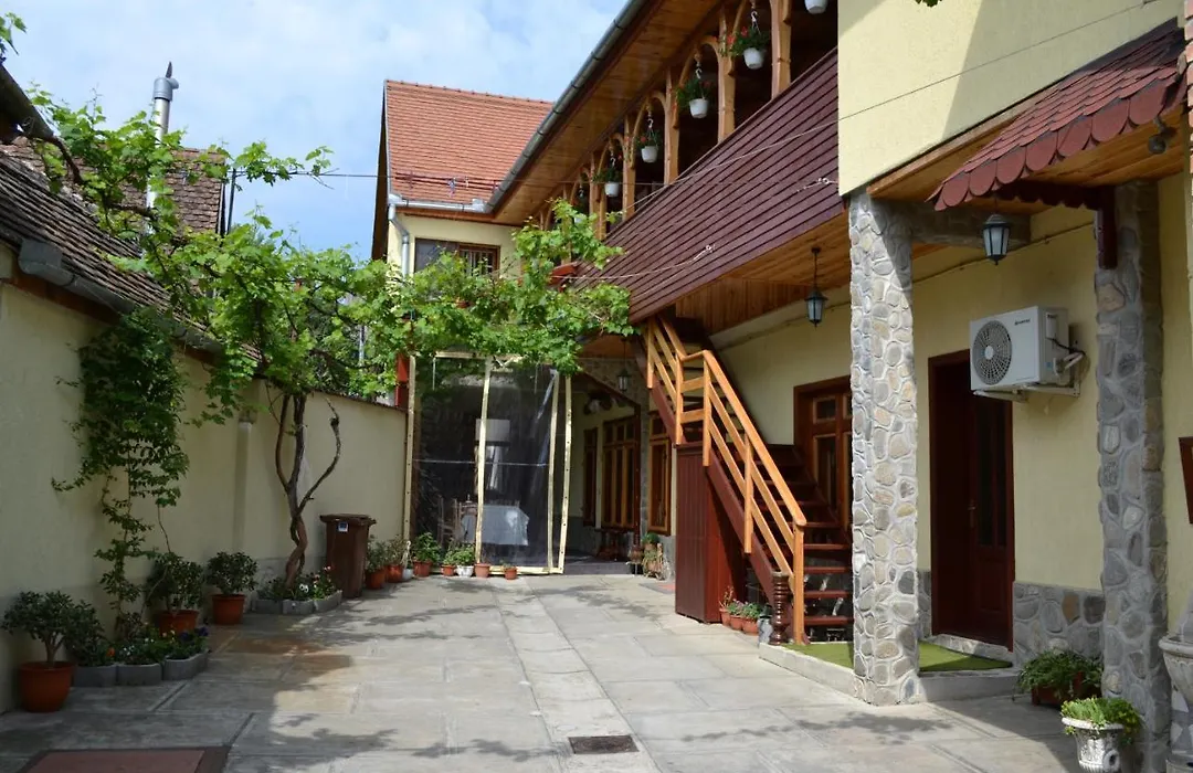 Pensiunea Muntean-1