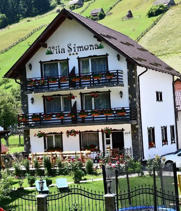 Vila Simona-1