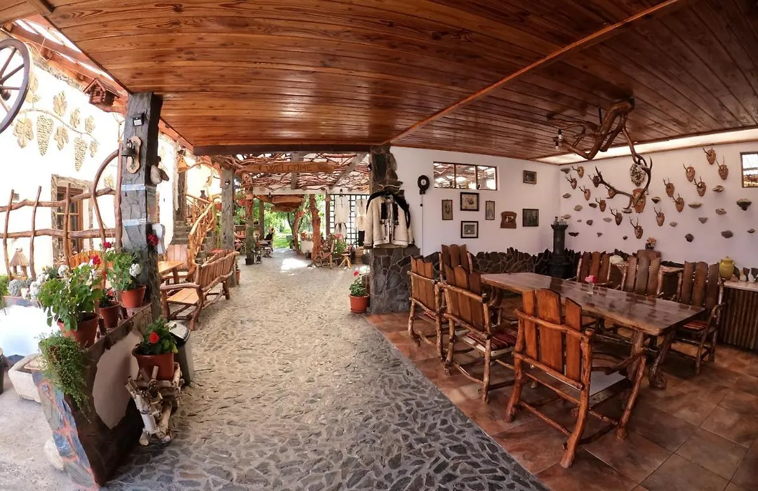 Casa Vlad-1