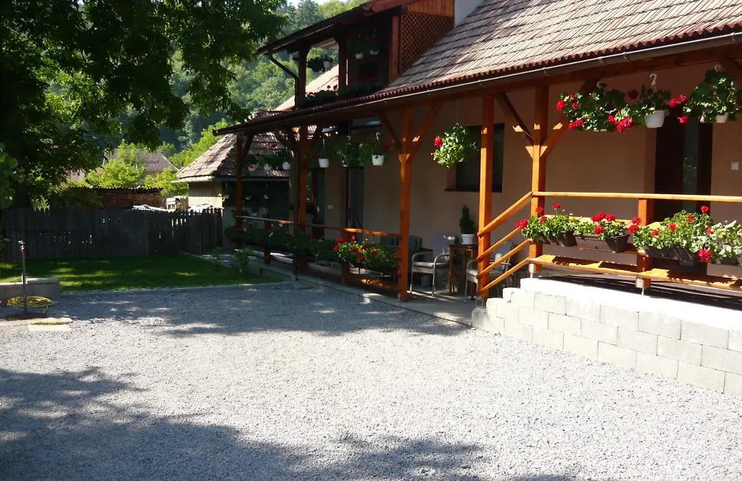 Casa De Oaspeti Liviu-1