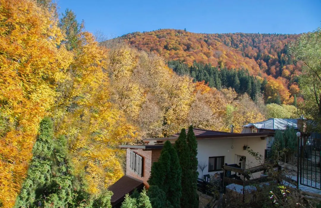 Casa Flandria-1
