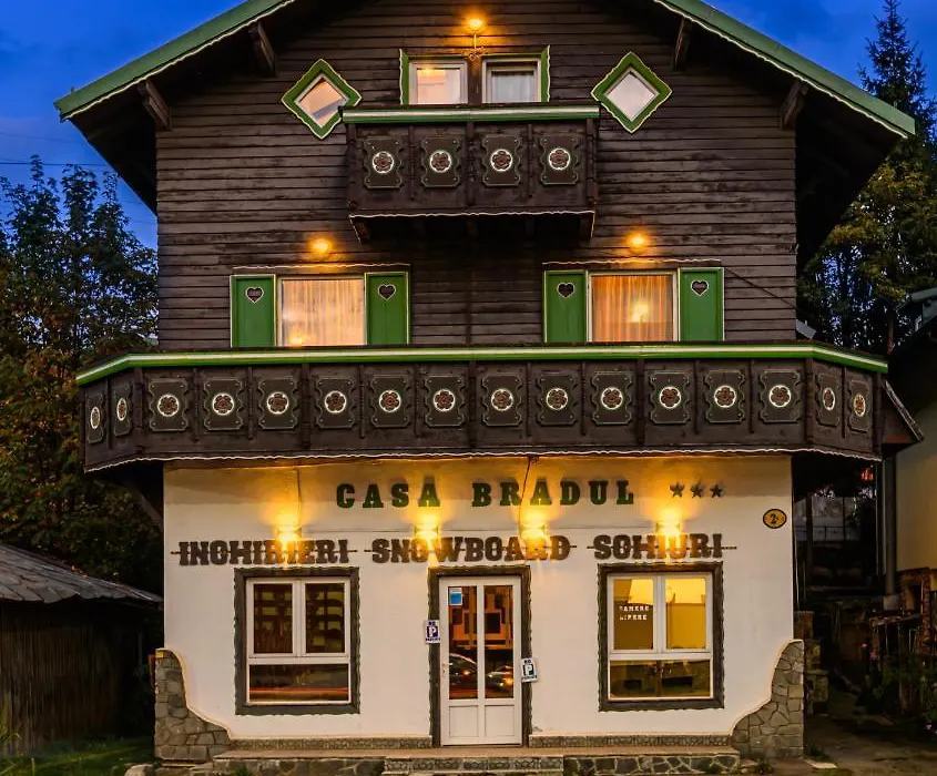 Pension Casa Bradul-1