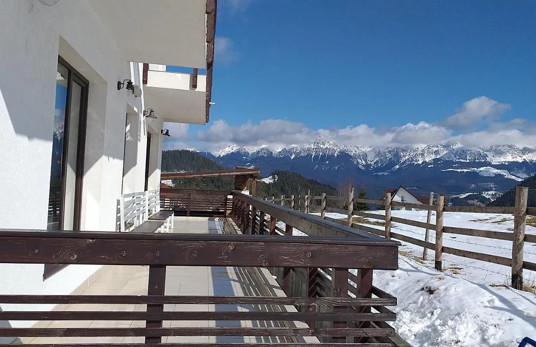 Panorama (Adults Only)-1
